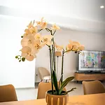 White Luxury Tríkala