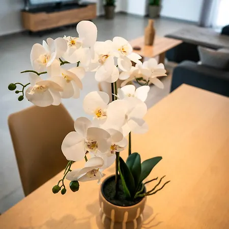 Appartement White Luxury Tríkala