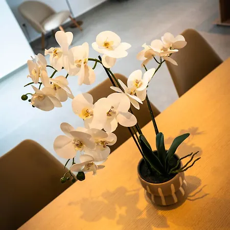 White Luxury