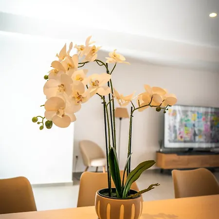 White Luxury Tríkala