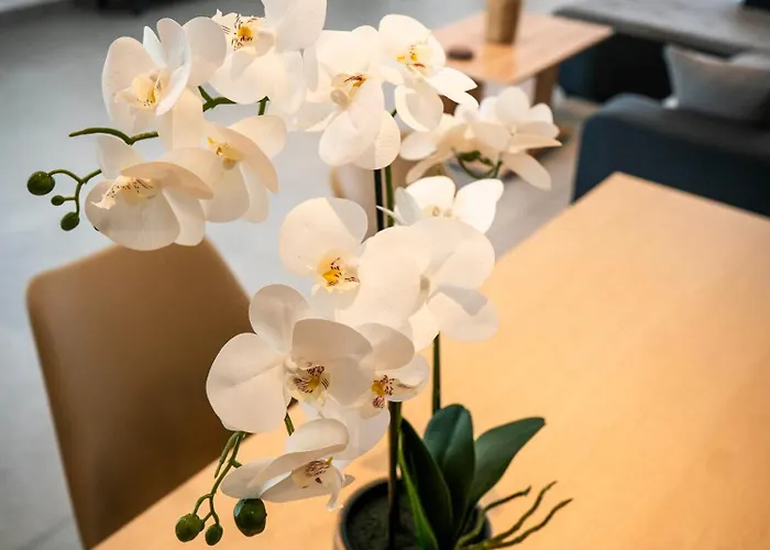 Apartament White Luxury Tríkala