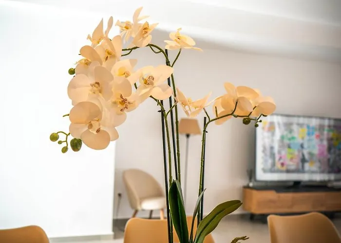 White Luxury Tríkala